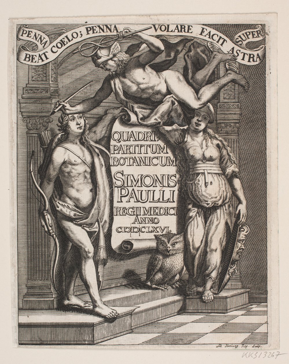 Titelblad til Simon Paulli, "Quadripartitum Botanicum", 1667 af Albert Haelwegh