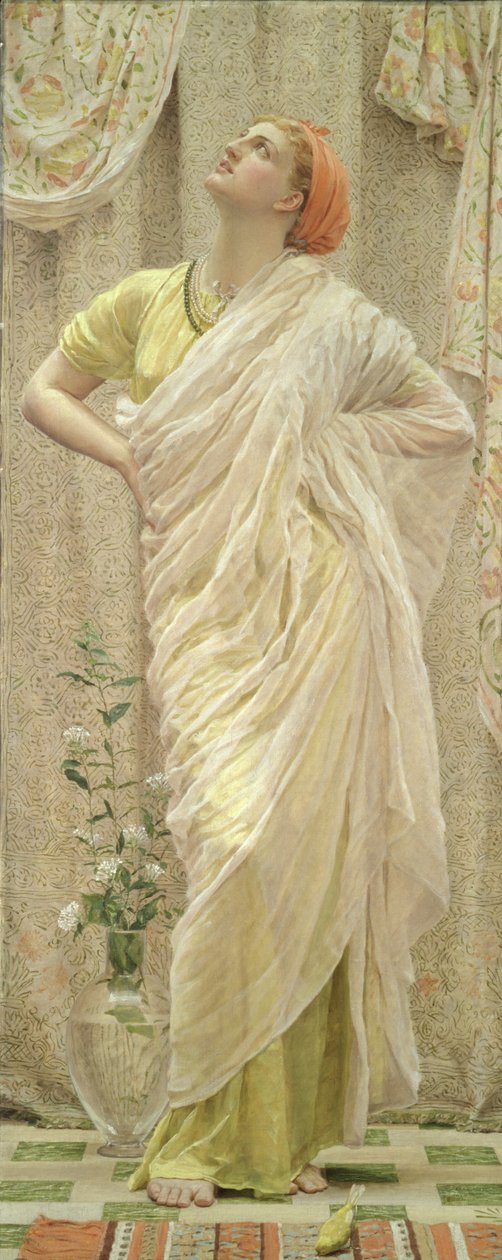 Fugle af Albert Joseph Moore