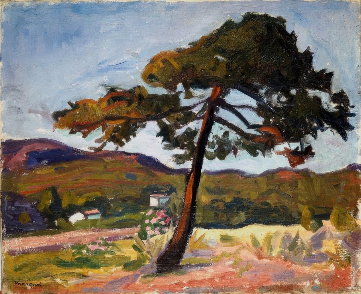 Fyrretræ i St. Tropez af Albert Marquet