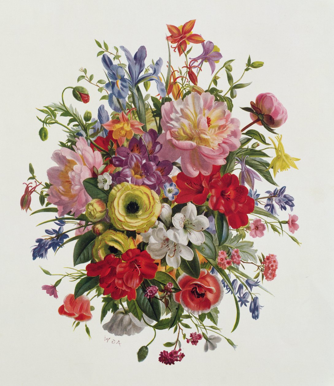 AP264 En duftende junibuket af Albert Williams