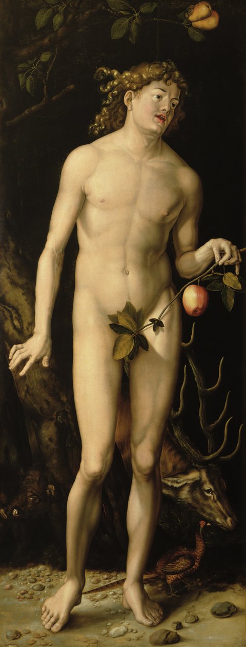 Adam af Albrecht Dürer