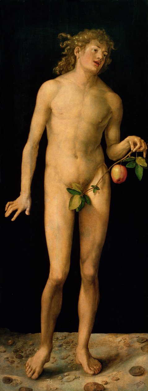 Adam, 1507 af Albrecht Dürer