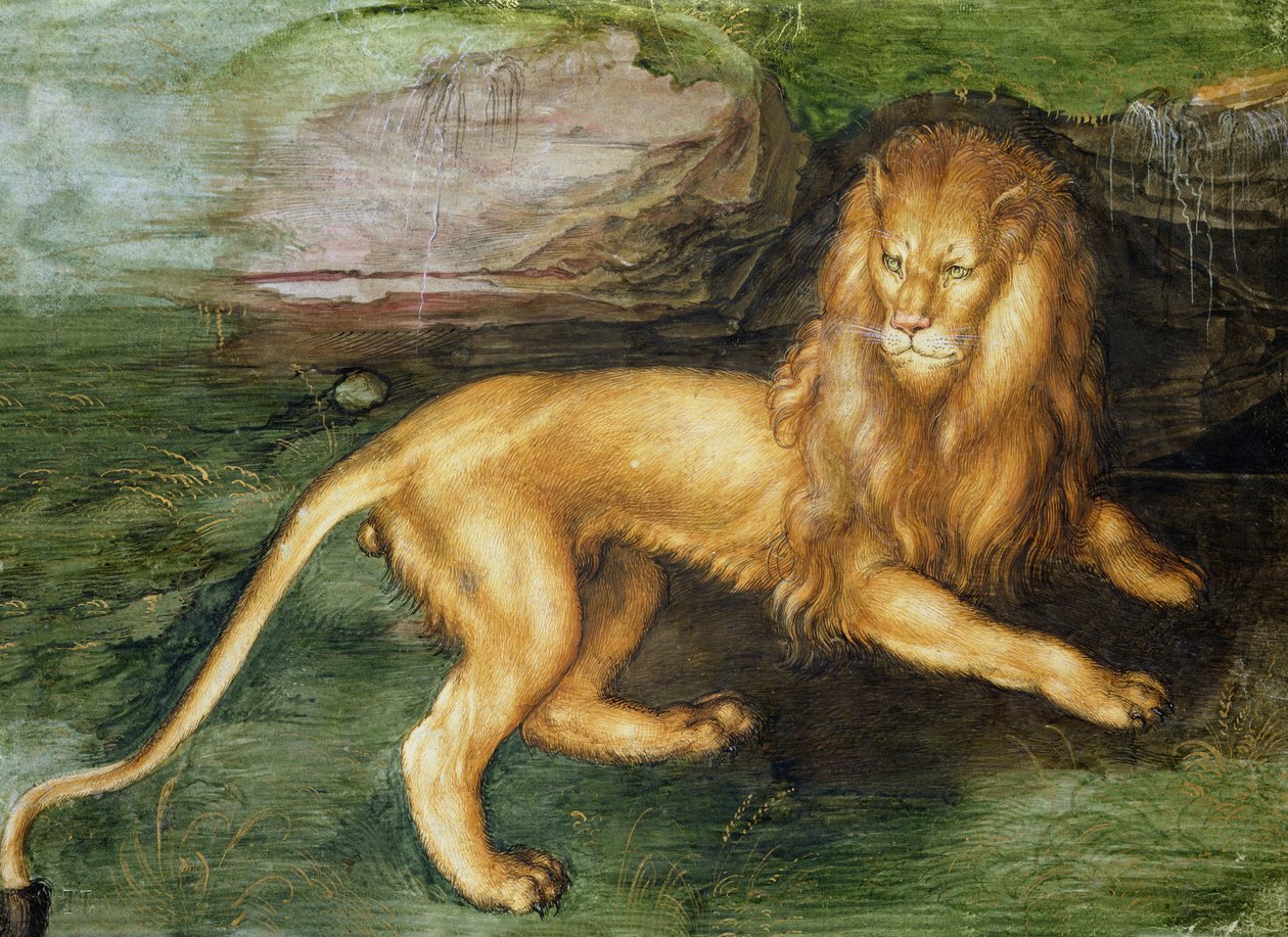 Lion af Albrecht Dürer