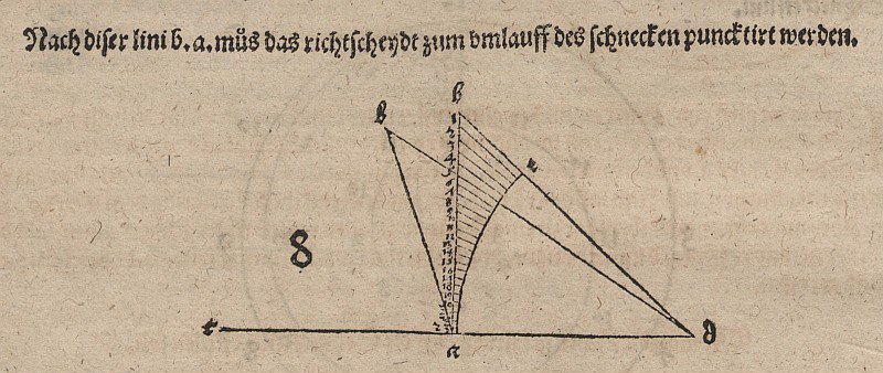 Tangent spiral og slægtninge af Albrecht Dürer