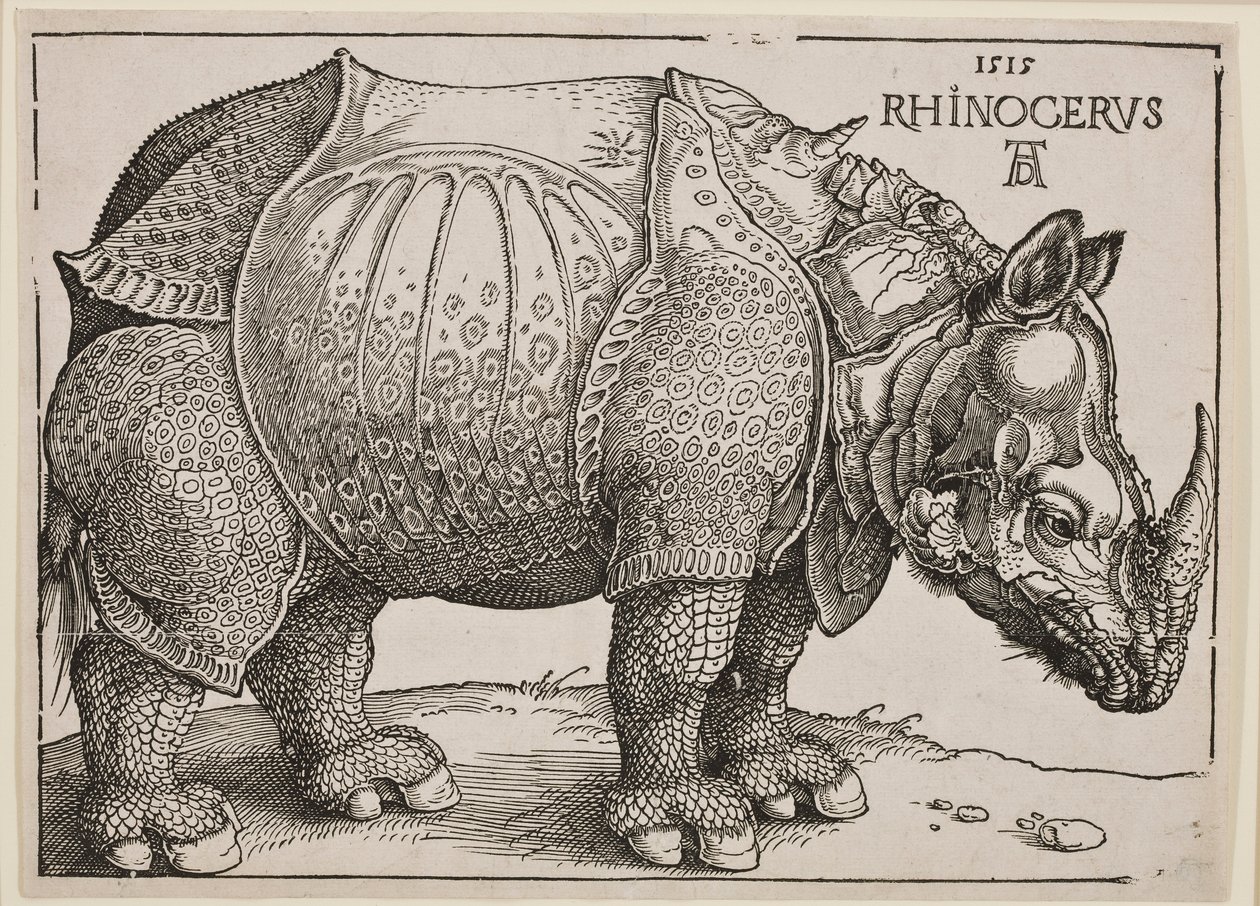 Næsehornet, 1515 af Albrecht Dürer