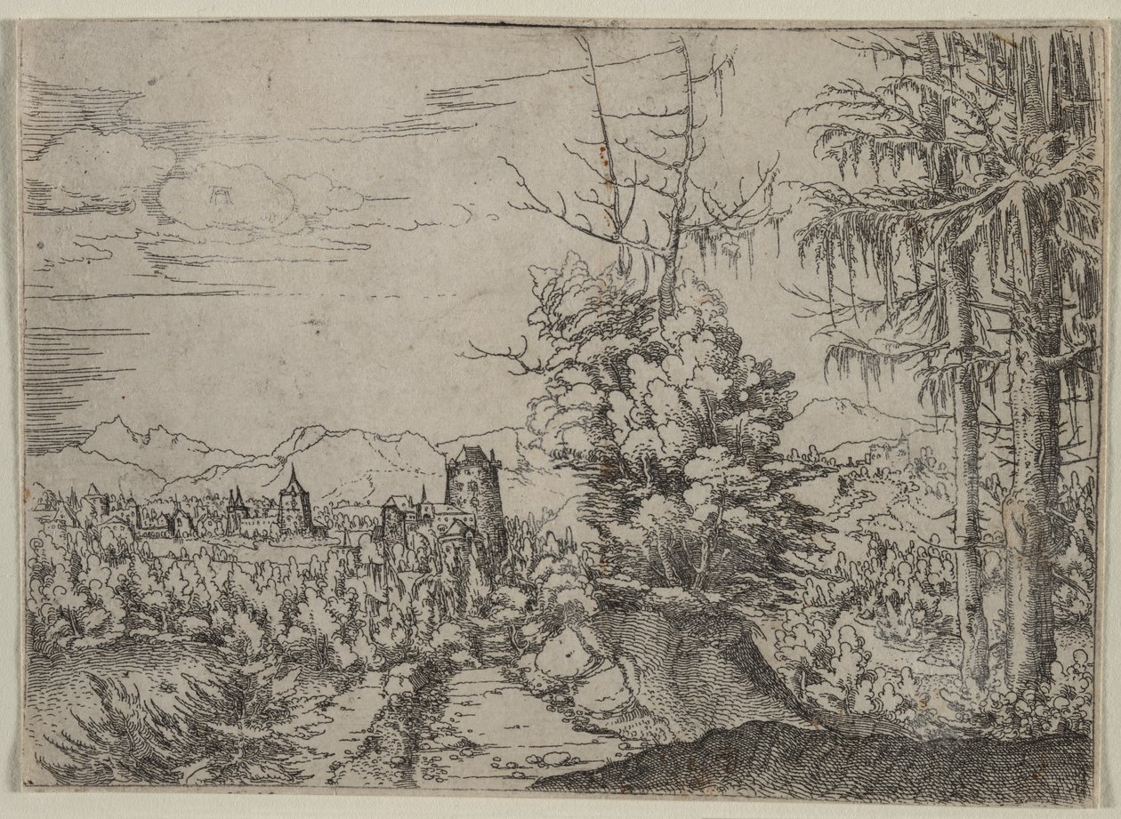 Landskab med to fyrretræer af Albrecht Altdorfer