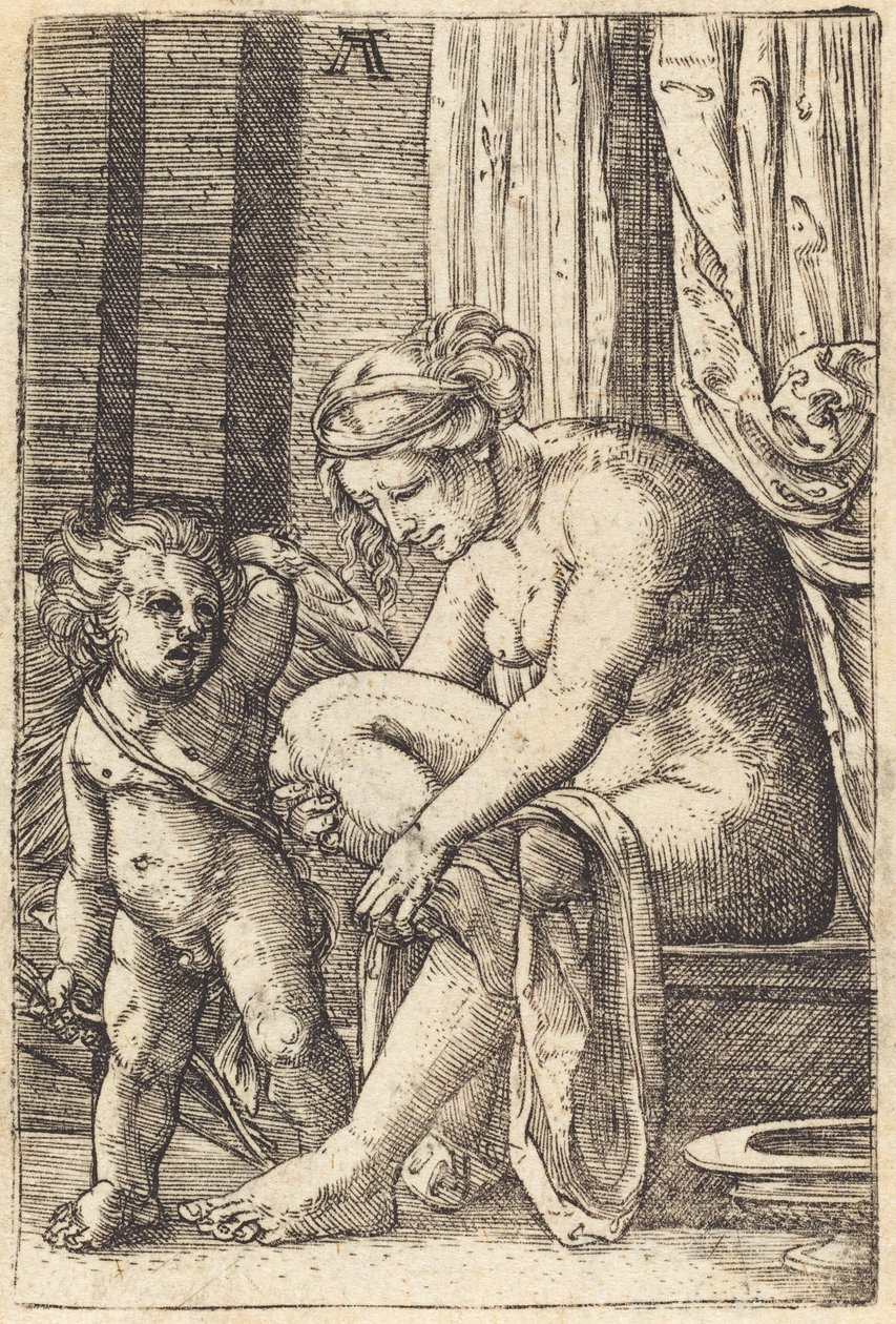 Venus efter badet af Albrecht Altdorfer