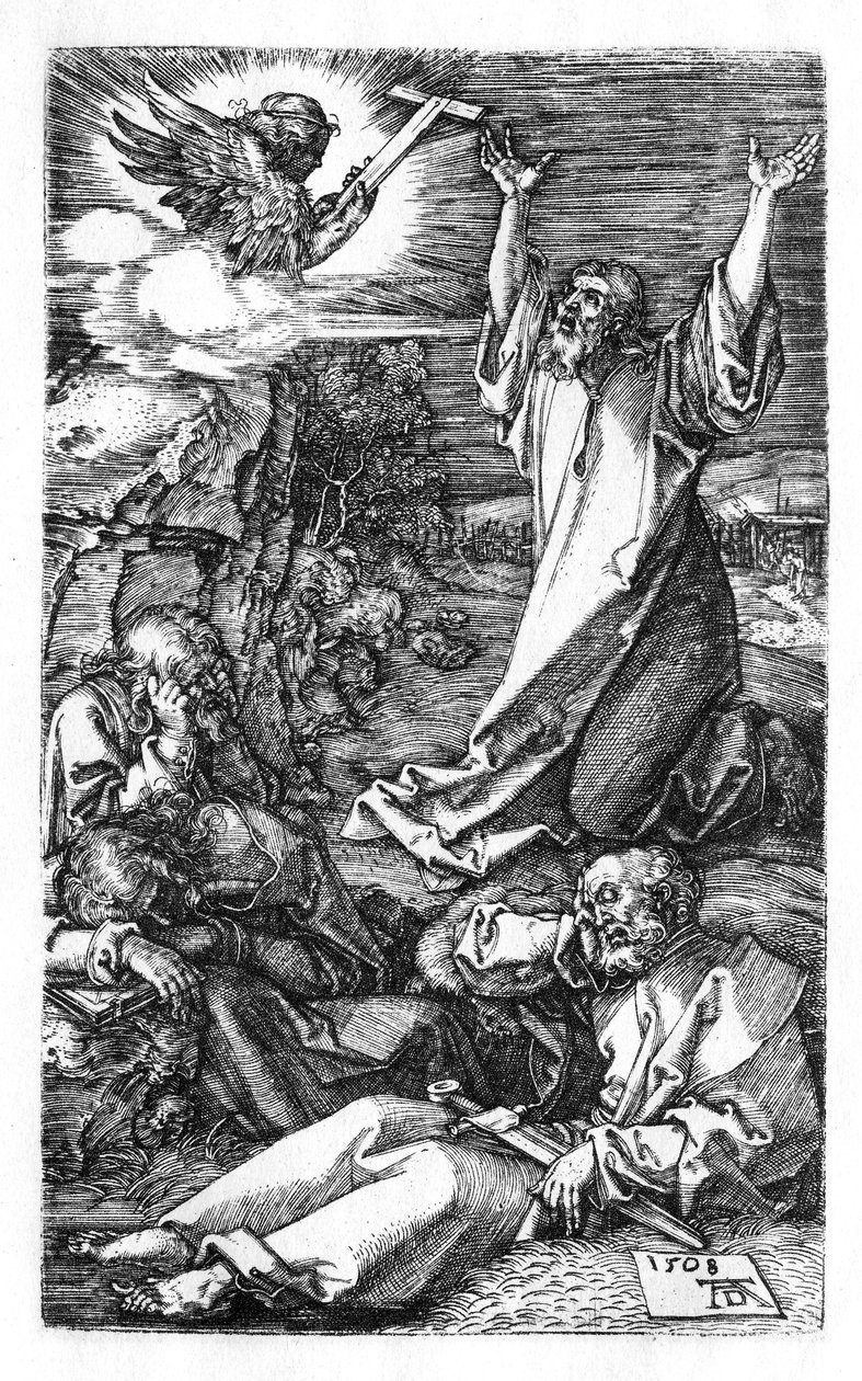 Pine i haven af Albrecht Dürer