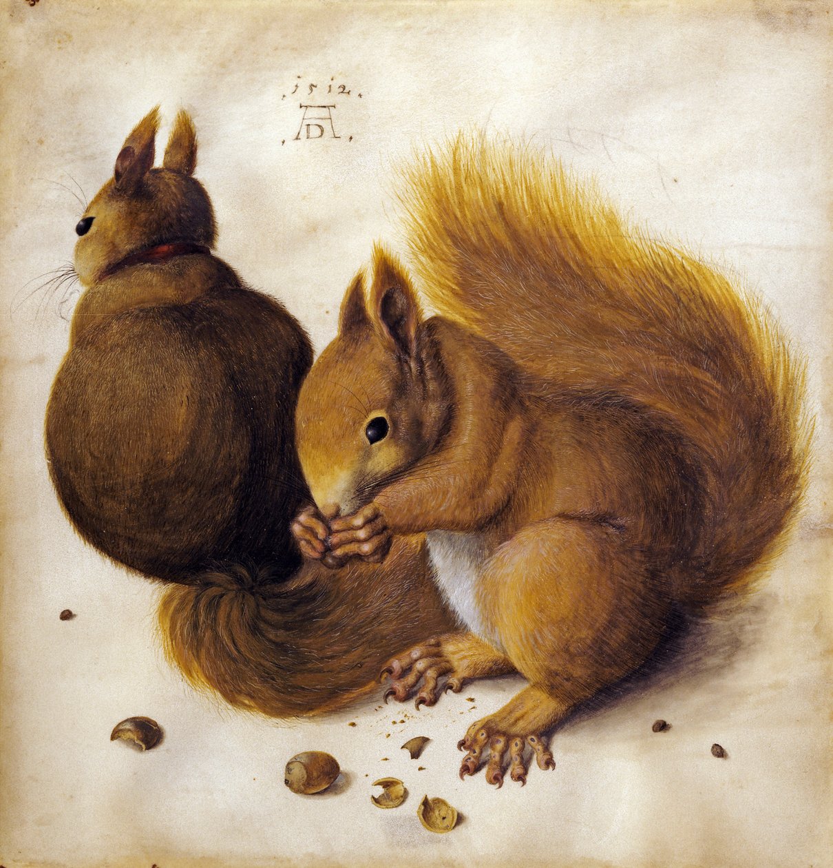 Egern af Albrecht Dürer