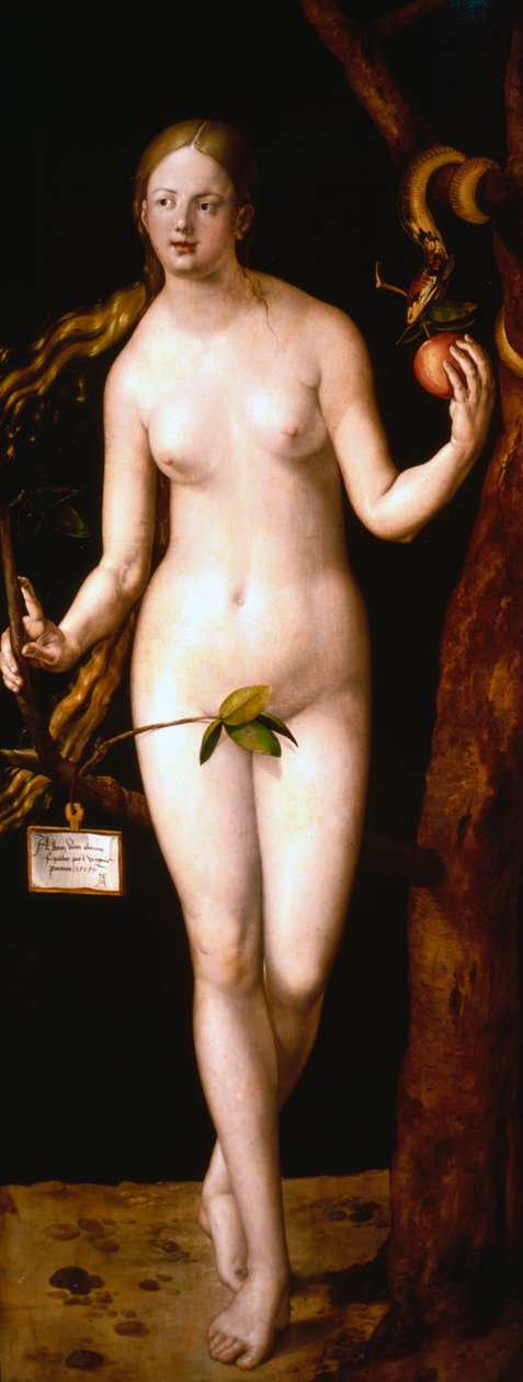 Eva, 1507 af Albrecht Dürer