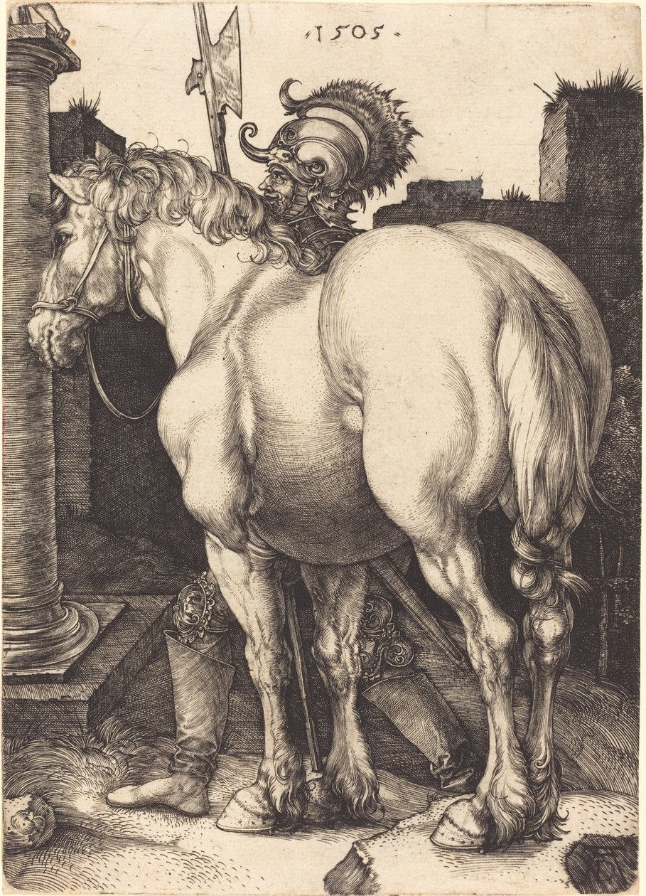 stor hest af Albrecht Dürer