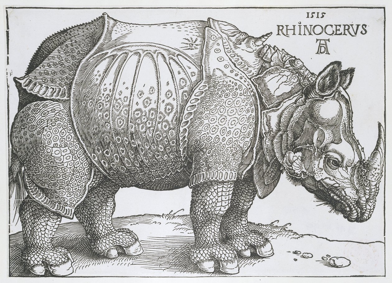 Neushoorn Rhinocerus (titel på objekt) af Albrecht Dürer