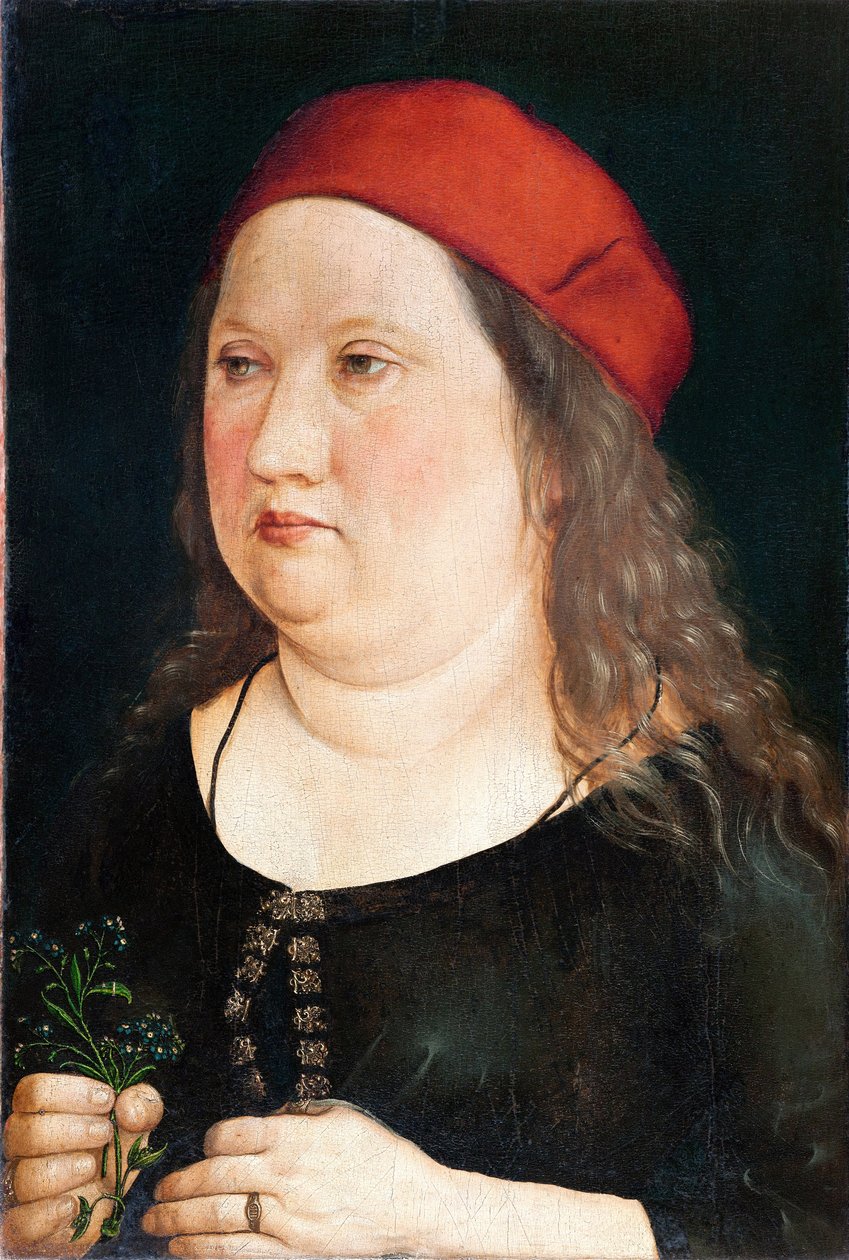Portræt af en mand, 1497 af Albrecht Dürer