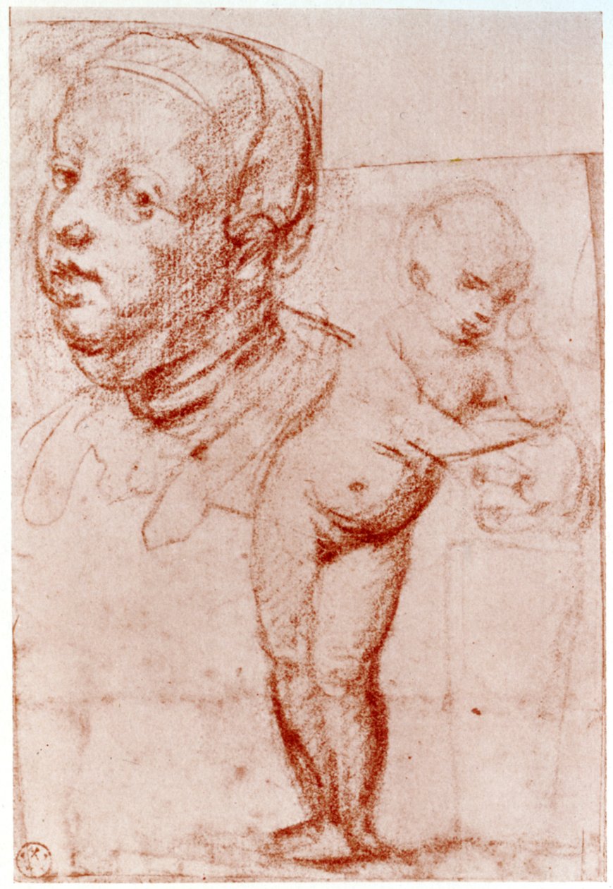 Studier, 1913. af Albrecht Dürer