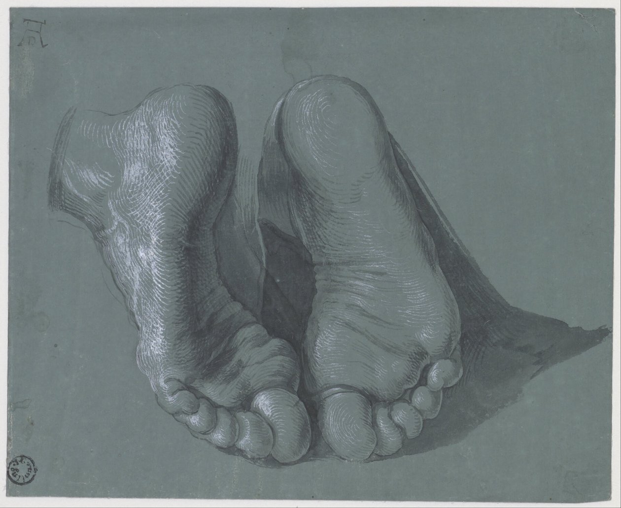 Undersøgelse af to fødder af Albrecht Dürer