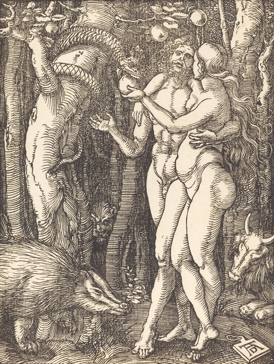 Menneskets fald, sandsynligvis ca. 15091510. af Albrecht Dürer