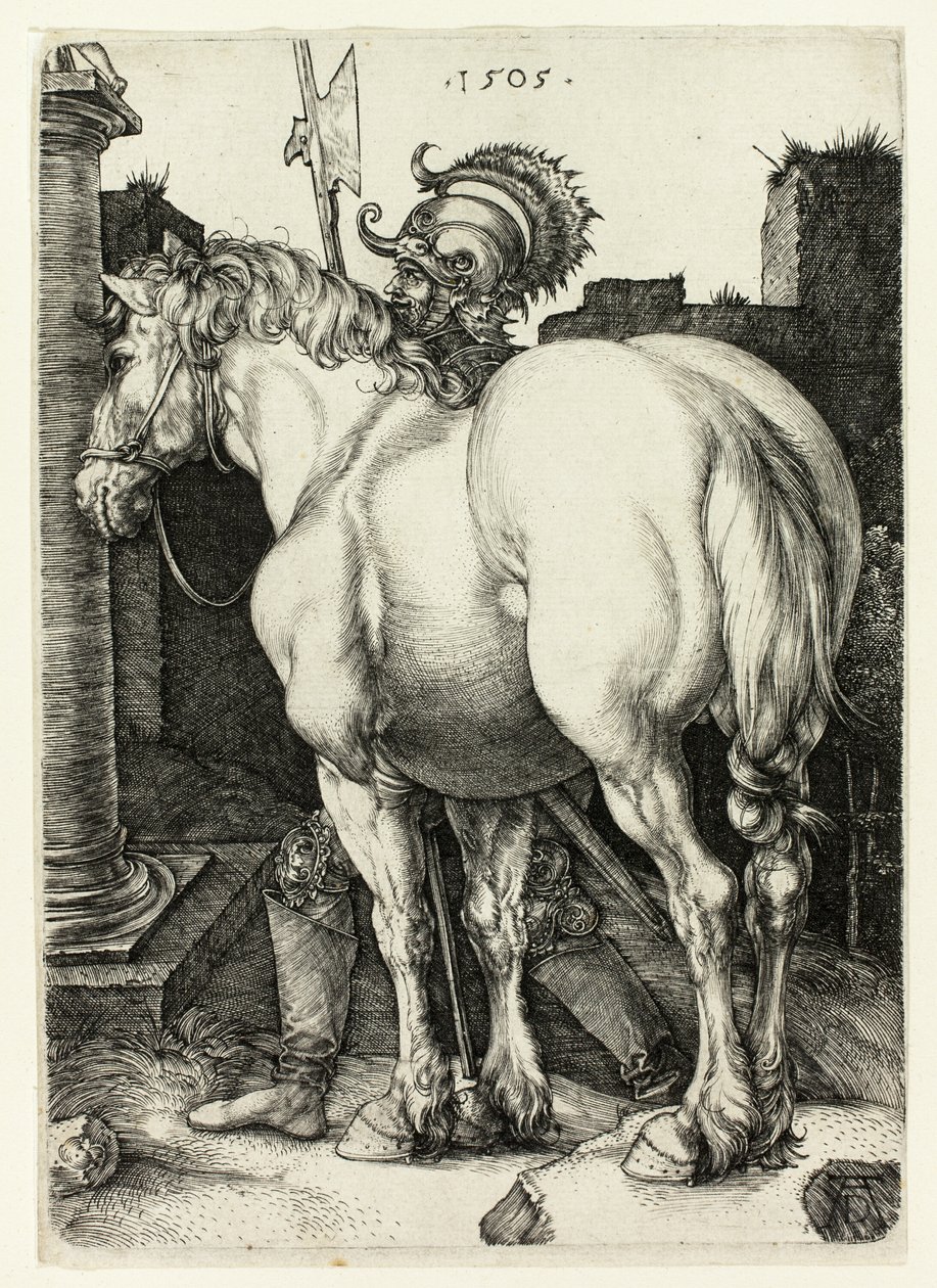 Den store hest af Albrecht Dürer