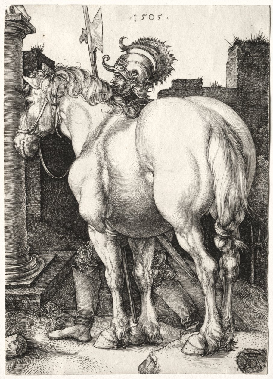 Den store hest af Albrecht Dürer