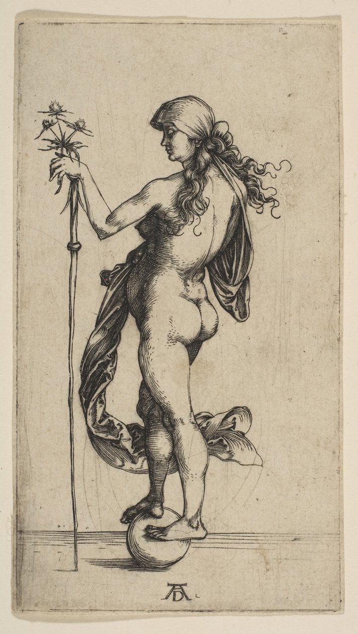 Den lille formue, 1495-96. af Albrecht Dürer