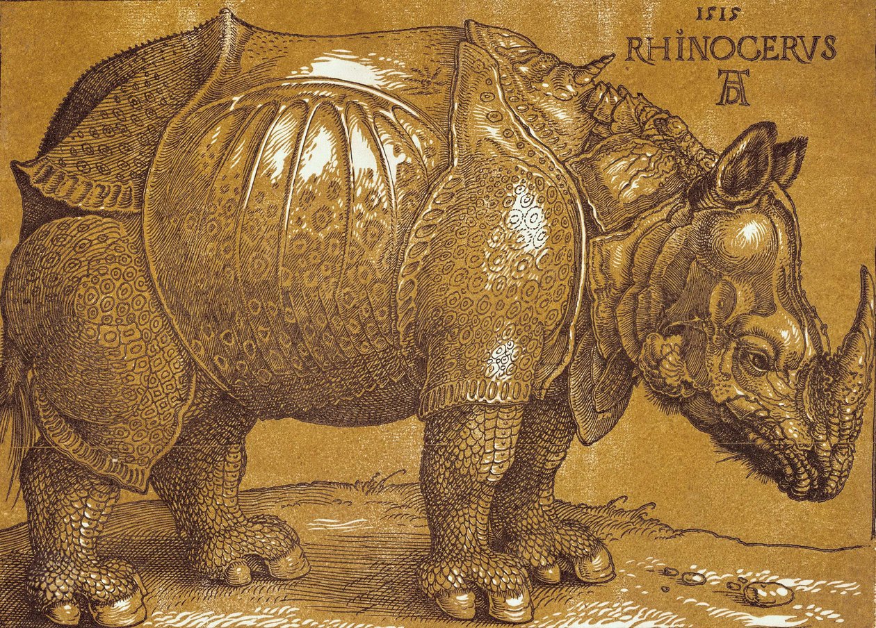 Næsehornet, 1515. af Albrecht Dürer