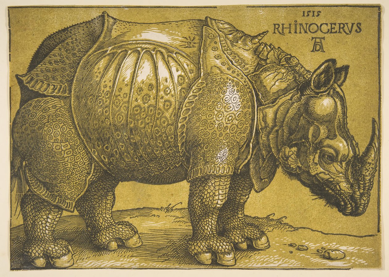 Næsehornet efter 1620. af Albrecht Dürer