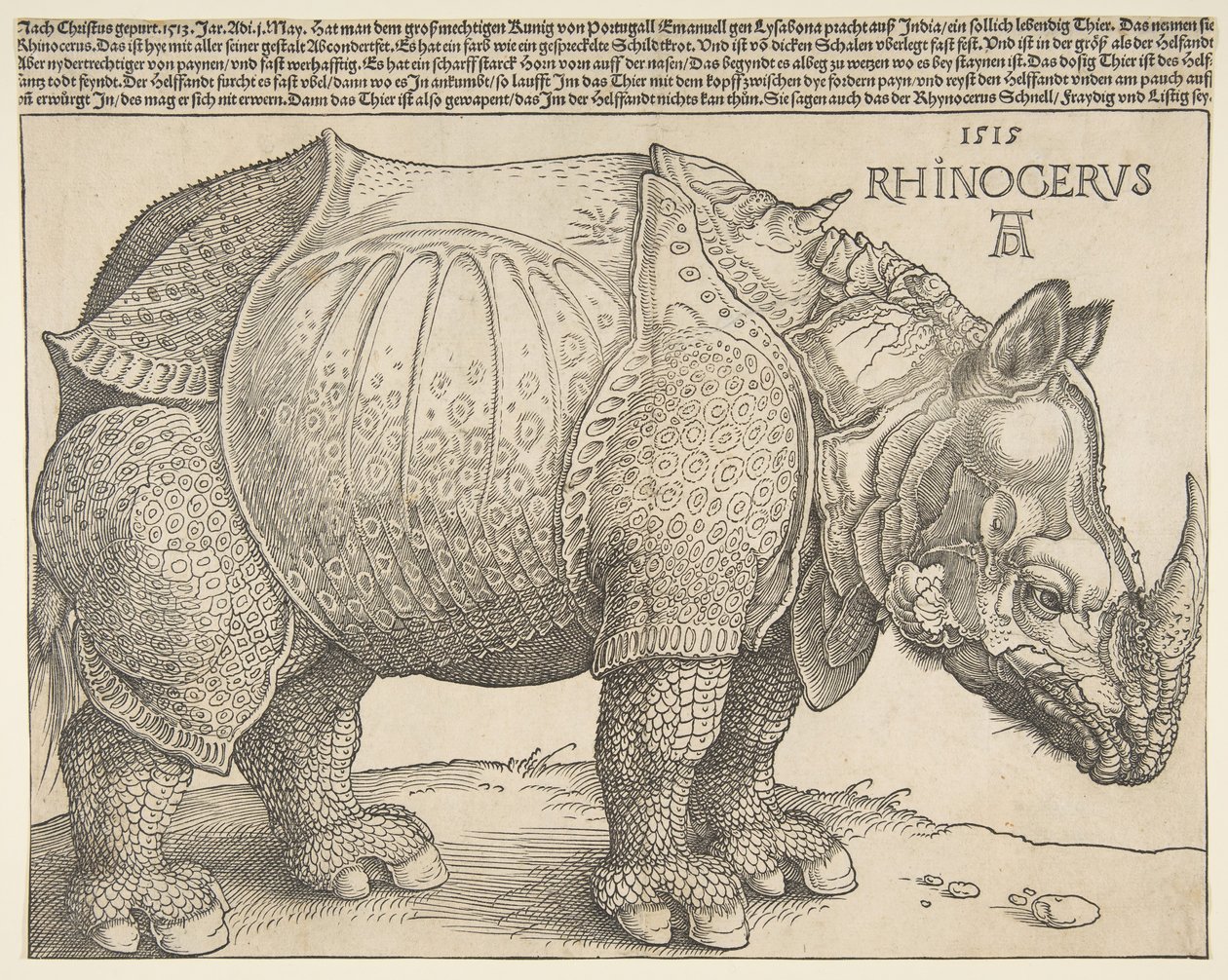 Næsehornet.n.d. af Albrecht Dürer
