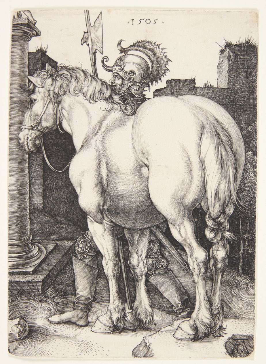 Den store hest af Albrecht Dürer