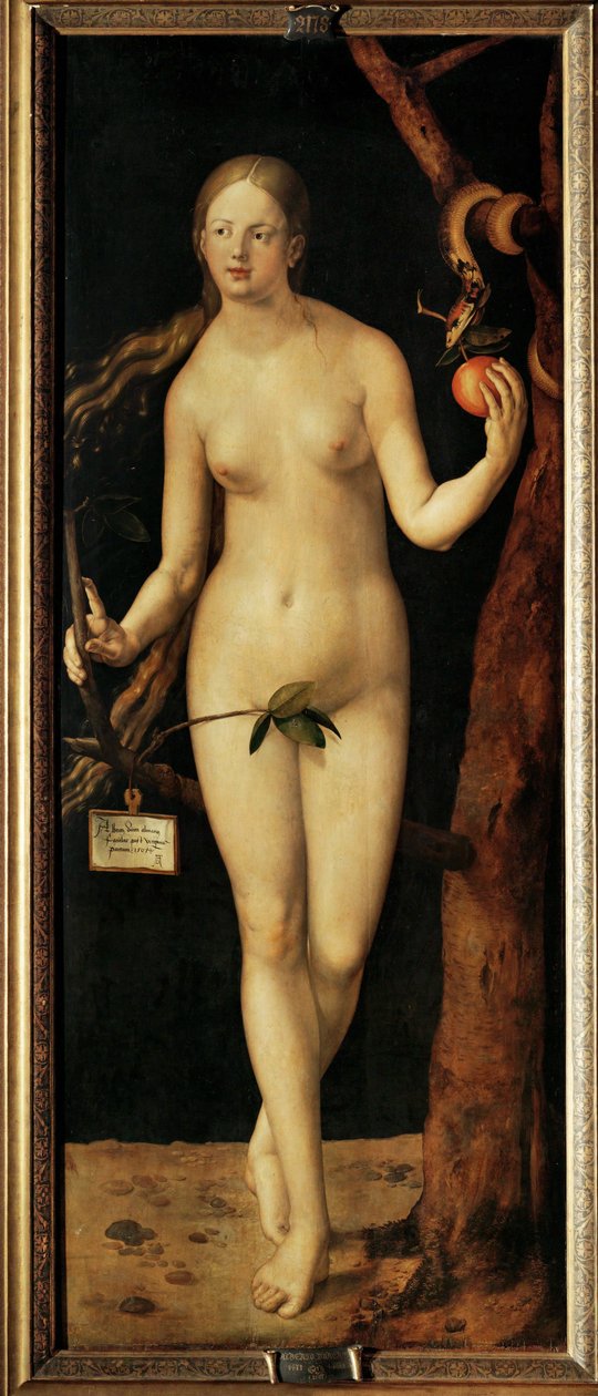 Eva af Albrecht Dürer or Duerer