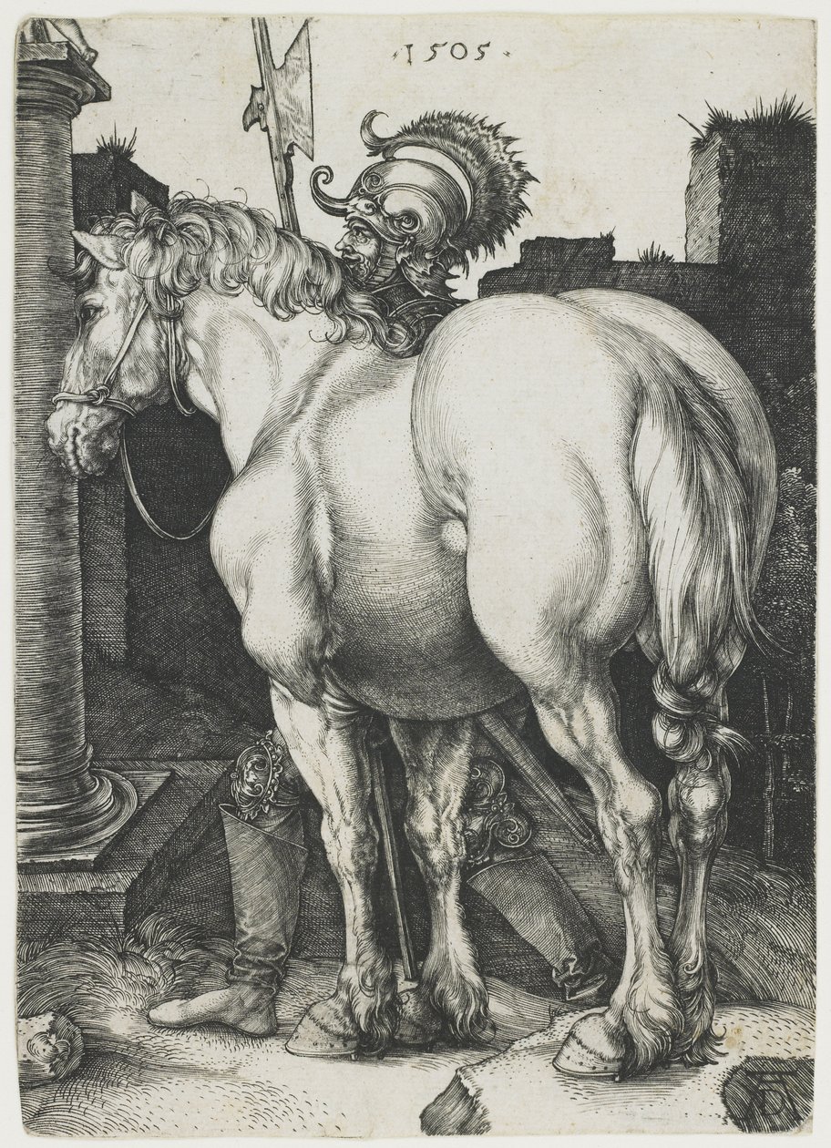 Den store hest af Albrecht Dürer