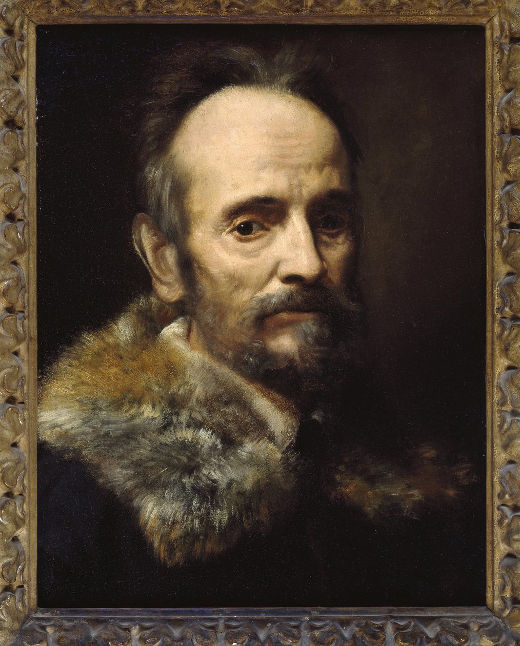 Bernardo Davanzati Bostichi af Alessandro Allori