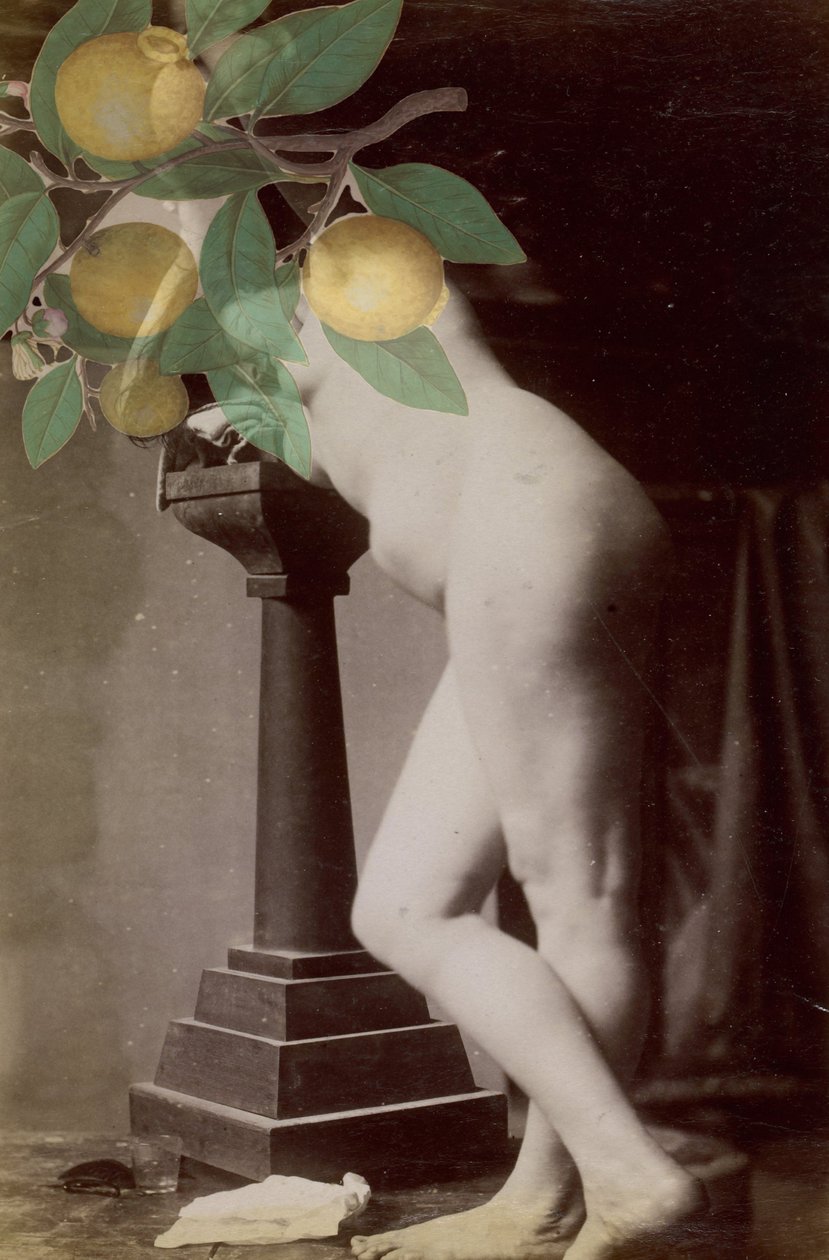 Alliance, 2020 (collage) af Alex Caminker