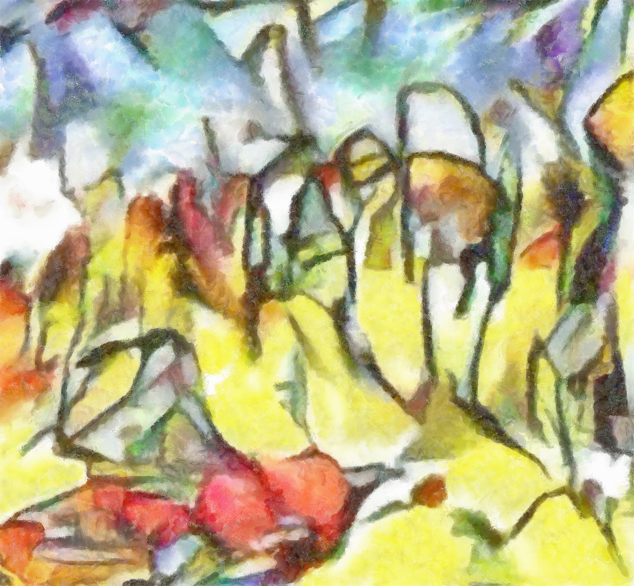 Undersøgelse nr. 10, 2017, af Alex Caminker