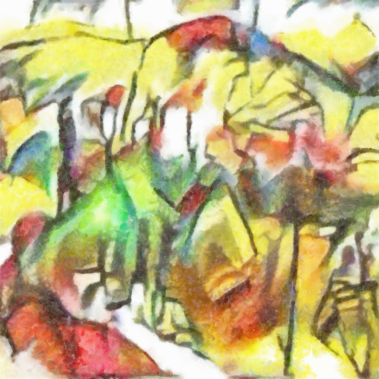 Undersøgelse nr. 3,2017 af Alex Caminker