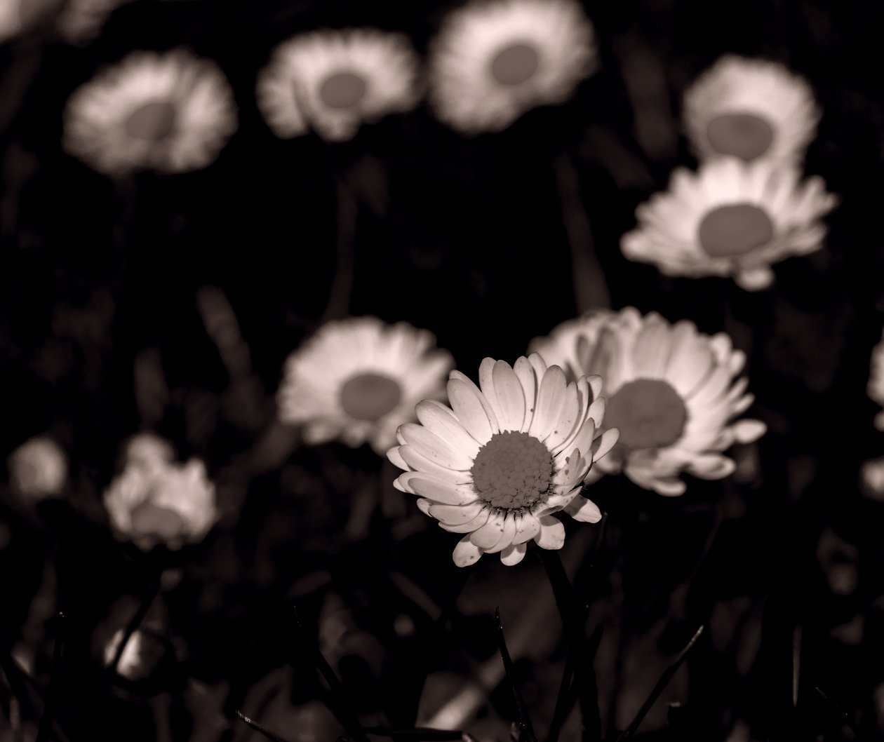 Enheder, 2019, (fotografi) af Alex Caminker