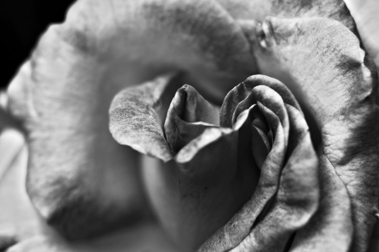 Uden titel, 2019, (fotografi) af Alex Caminker