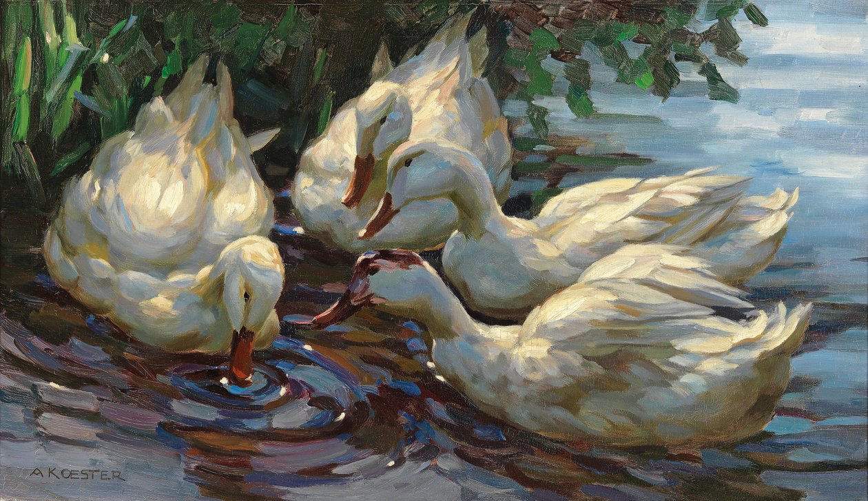 Fire ænder ved dammen af Alexander Koester