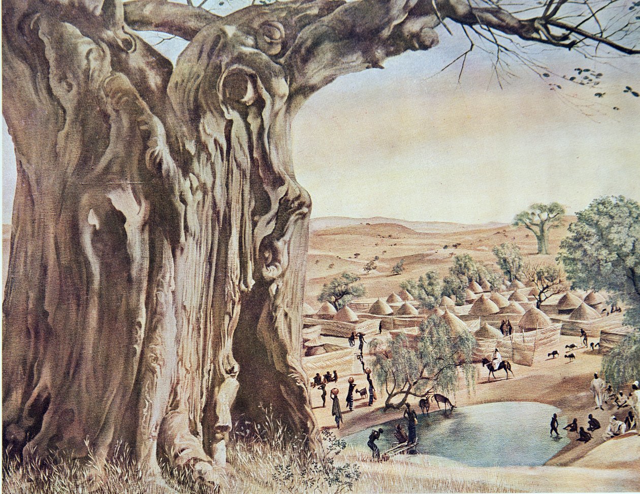 Un Baobab (Sudan), fra Drawings and Paintings of Africa, henrettet under Citroen Centre Afrique-ekspeditionen, anden Haardt Audouin-Dubreuil-mission, pub. Paris, 1927 af Alexander Yakovlev