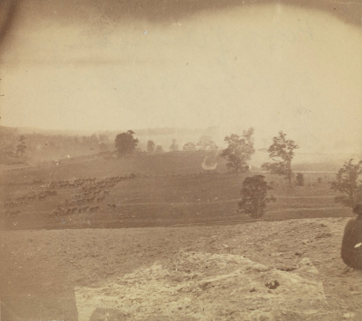 [Antietam Battlefield], 1862. af Alexander Gardner