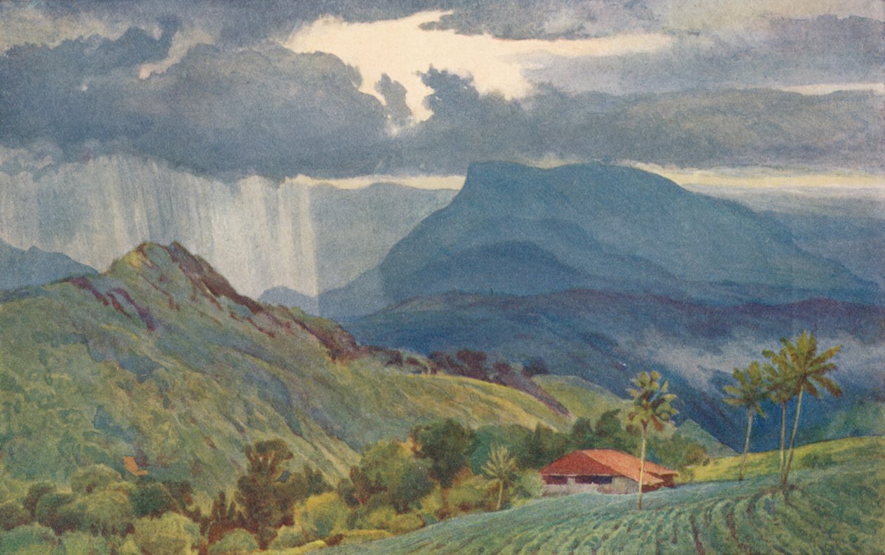 Et tropisk brusebad, c1880 1905. af Alexander Henry Hallam Murray