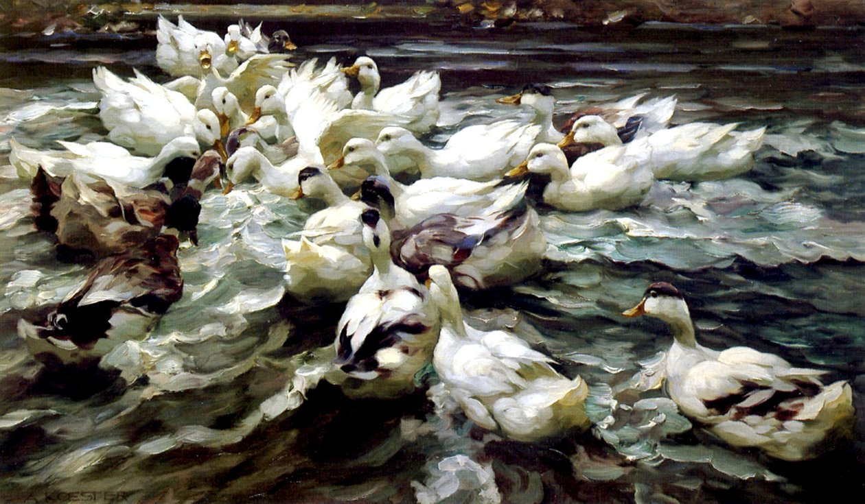 Ducks Gathering (olie på lærred) af Alexander Koester