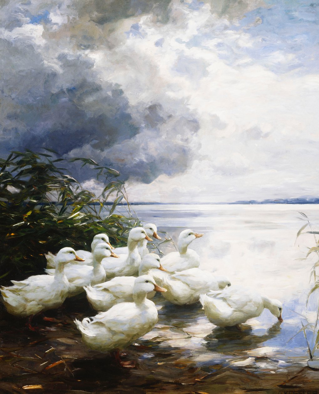 Ænder ved søens kant af Alexander Koester