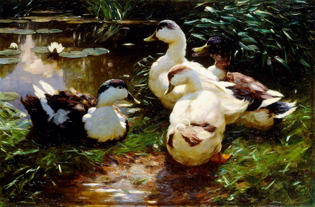 Ænder på en flodbred af Alexander Koester