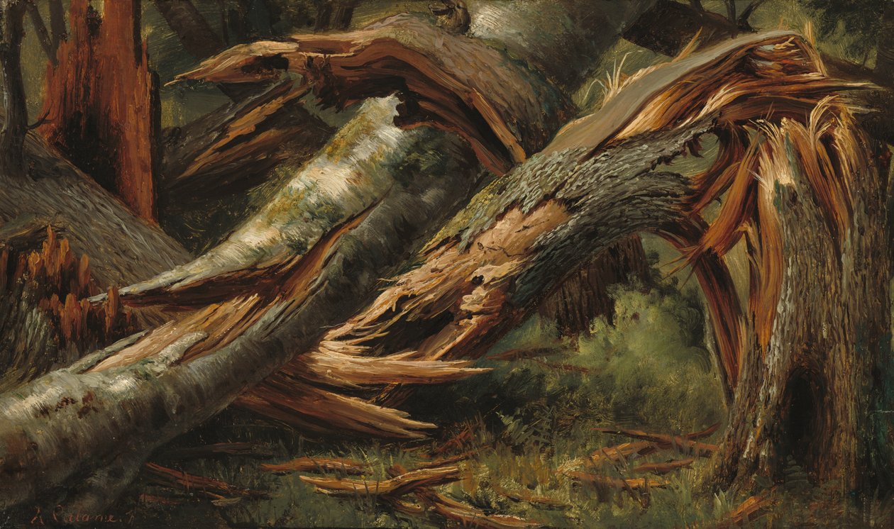 Faldet træ af Alexandre Calame