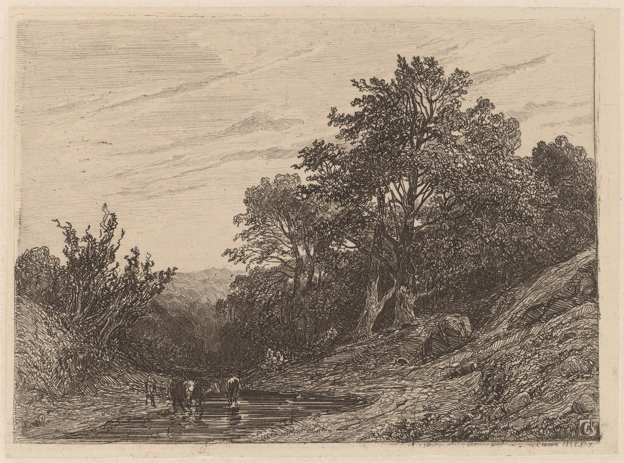 Flok i en Strøm af Alexandre Calame