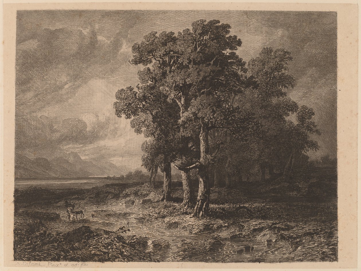 Træer i en storm af Alexandre Calame