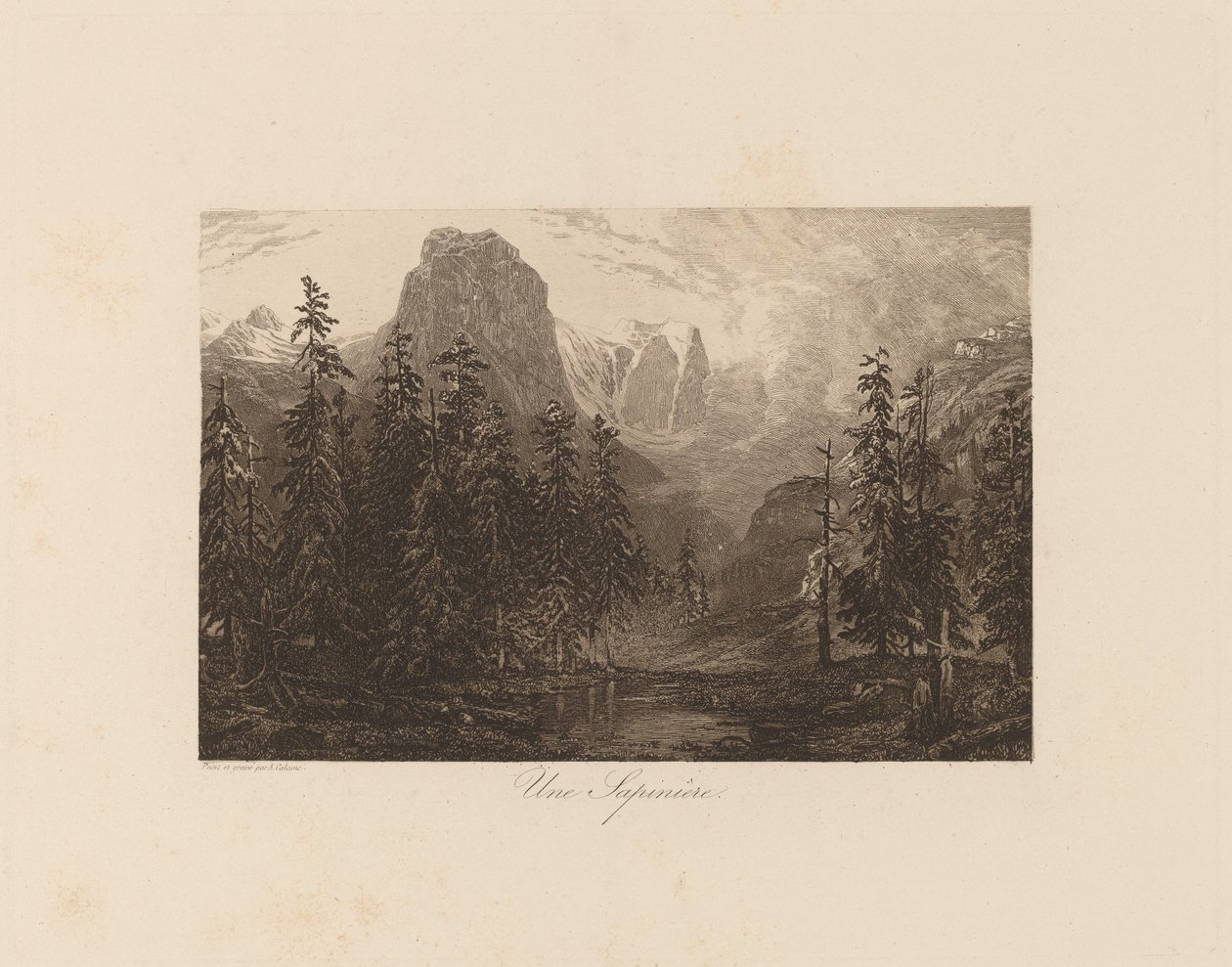 Et grantræ af Alexandre Calame