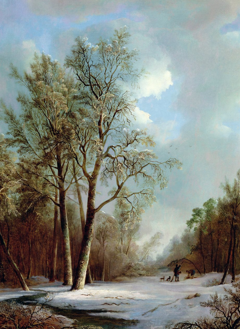 Snescene af Alexis de Leeuw