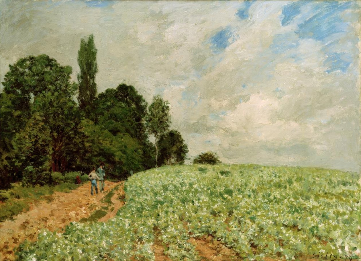 Kløvermarken af Alfred Sisley