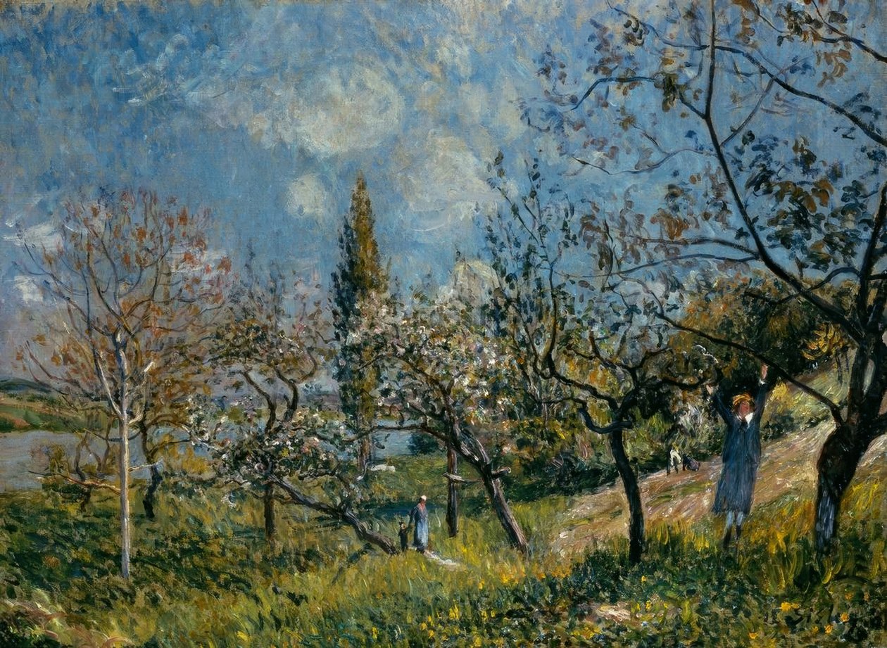 Frugtplantage om foråret af Alfred Sisley