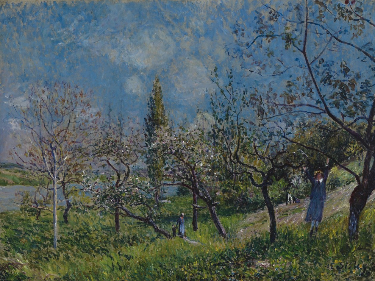 Frugthave om foråret af Alfred Sisley